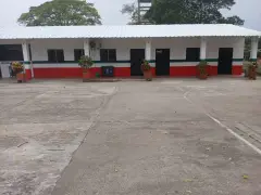 cole3